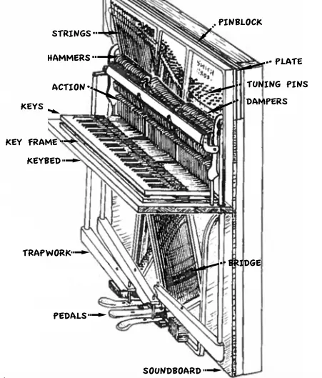 Piano Structure